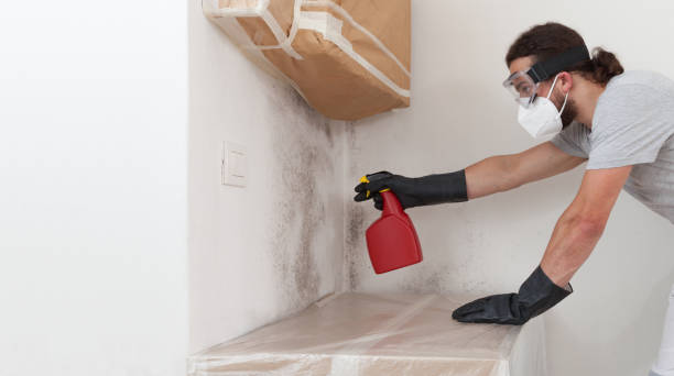 Professional Crawl Space Mold Remediation technician working in Carrboro, NC