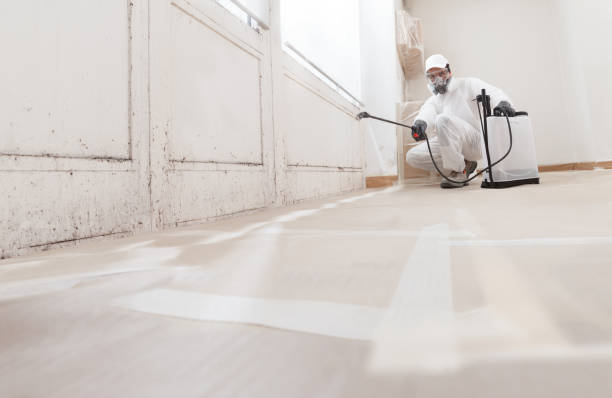 24/7 Emergency Crawl Space Mold Remediation experts in Carrboro, NC