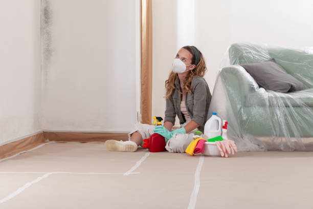 Reliable Crawl Space Mold Remediation contractor in Carrboro, NC by Mold Remediation HQ